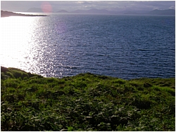 sunny sea