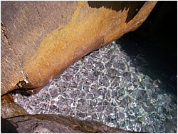 rock pool
