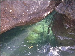rock pool