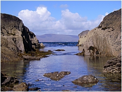 blue cove