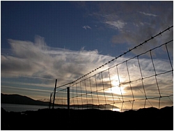 sky wire