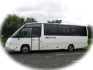 Moloney Coaches 16 - 34 Seaters.
