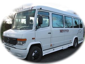 Moloney Coaches 16 - 34 Seaters.