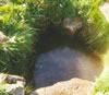 Tobar na Cille