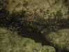Source of the Suir not far from Templemore