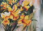 Daffodiles