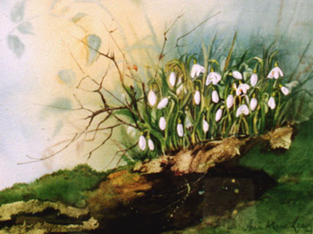 Fair Maids of February