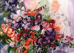 Sweetpea