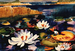 Wild Lillies