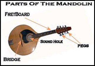 Mandolin parts