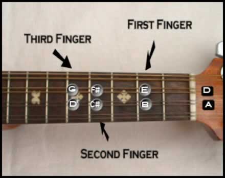 mandolin D scale