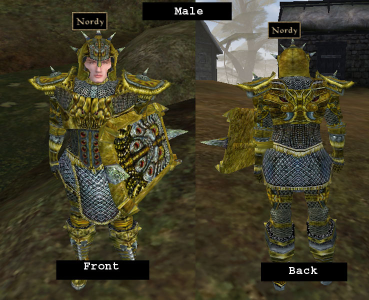 Morrowind Glass Armor. There are 3 sets of the armor,