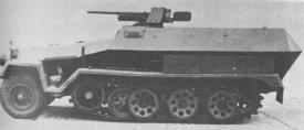 Sd Kfz 251/10.jpg