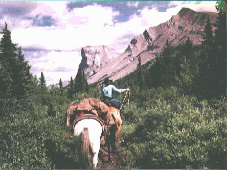 Trail riding in the Rockies