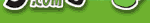 jungle.com