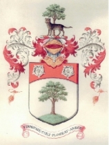 1904 coat of arms (scan of original document)