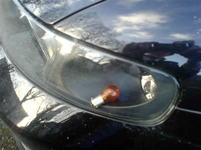 DSC01215.jpg