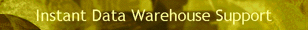 Instant Data Warehouse Support