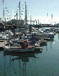 Yachts moored in 
Kilmore Quay marina