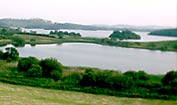 Lough Muckno with Island