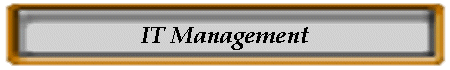 IT Management