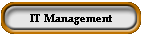 IT Management