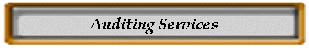 Auditing Services
