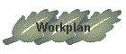 Workplan