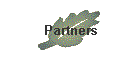 Partners