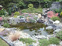 Click to enlarge in new window...