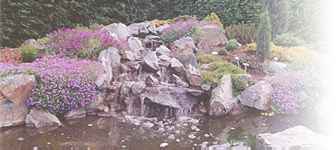 Photos