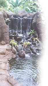 Rock and water feature