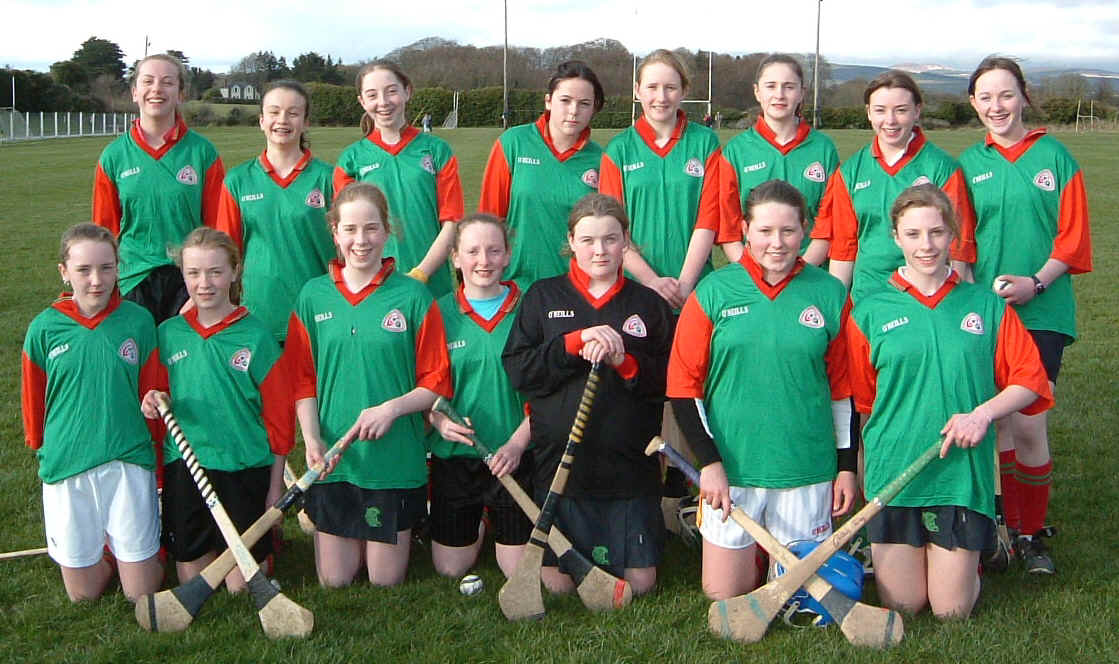 u-14 camogie 060406.JPG (392583 bytes)