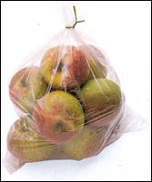 Bagging apples. Photograph copyright Dorling Kindersley