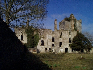 Castle Taylor