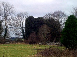 Leitrim Castle