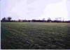 New Grounds at Lisnamult with Roscommon Church in Background.  Taken Spring 2003.