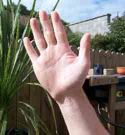 Taiji-open-hand.jpg