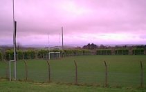 Pitch1
