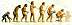 evolution.jpg