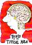 malebrain.jpg