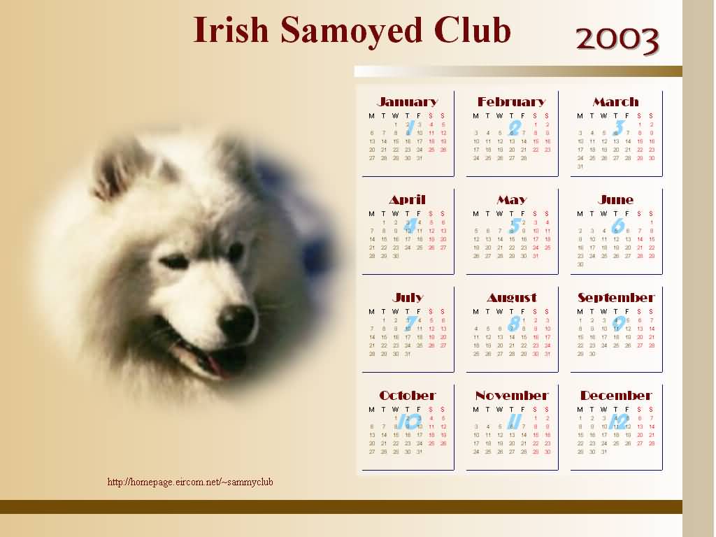 Irish Samoyed Club - Calendar 2003