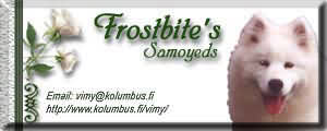 Frostbite's Samoyeds