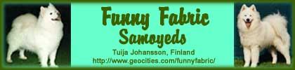 Funny Fabric Samoyeds