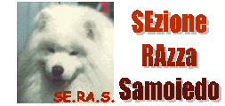 Italian Samoyed Club Web Site