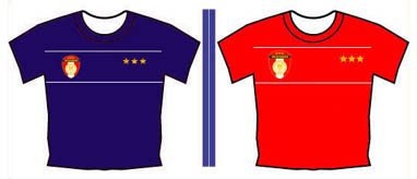 SEI 3 Star T-Shirts: Sold Out!