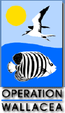 Operation Wallacea Logo