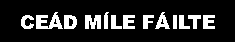 failte.gif (5174 bytes)