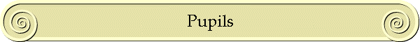 Pupils