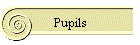 Pupils